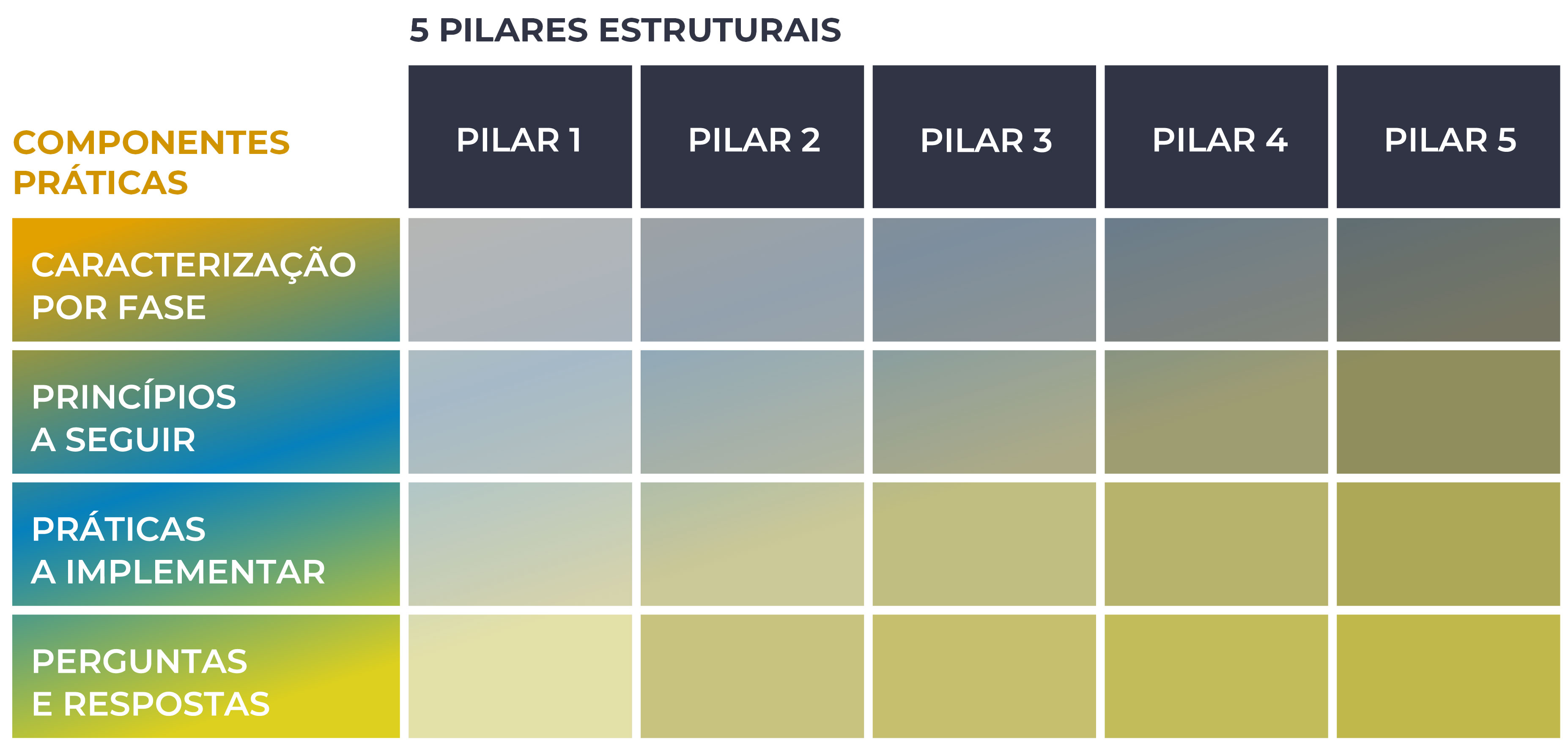 PROGRAMA METAMORFOSE - 5 pilares